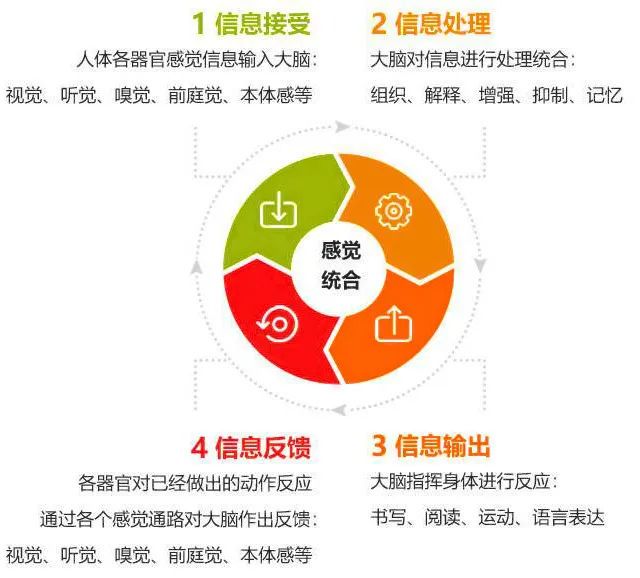 篮球训练法读后感怎么写_0