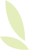 _2